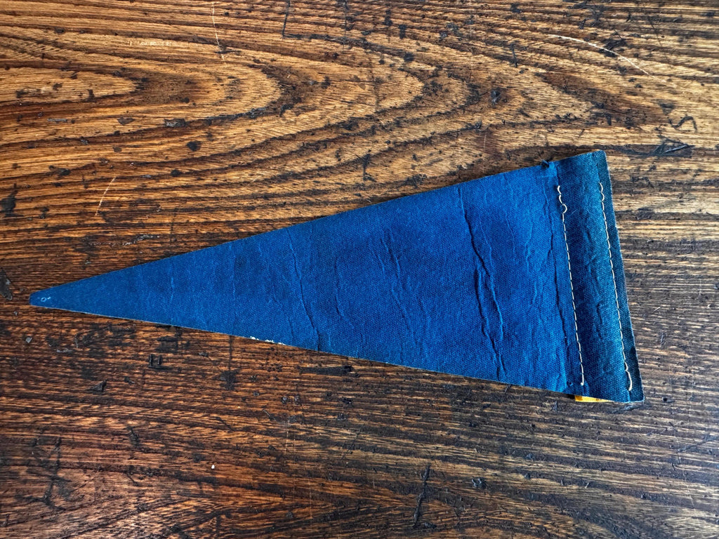 Vintage Florida Felt Souvenir Pennant 9 Inch