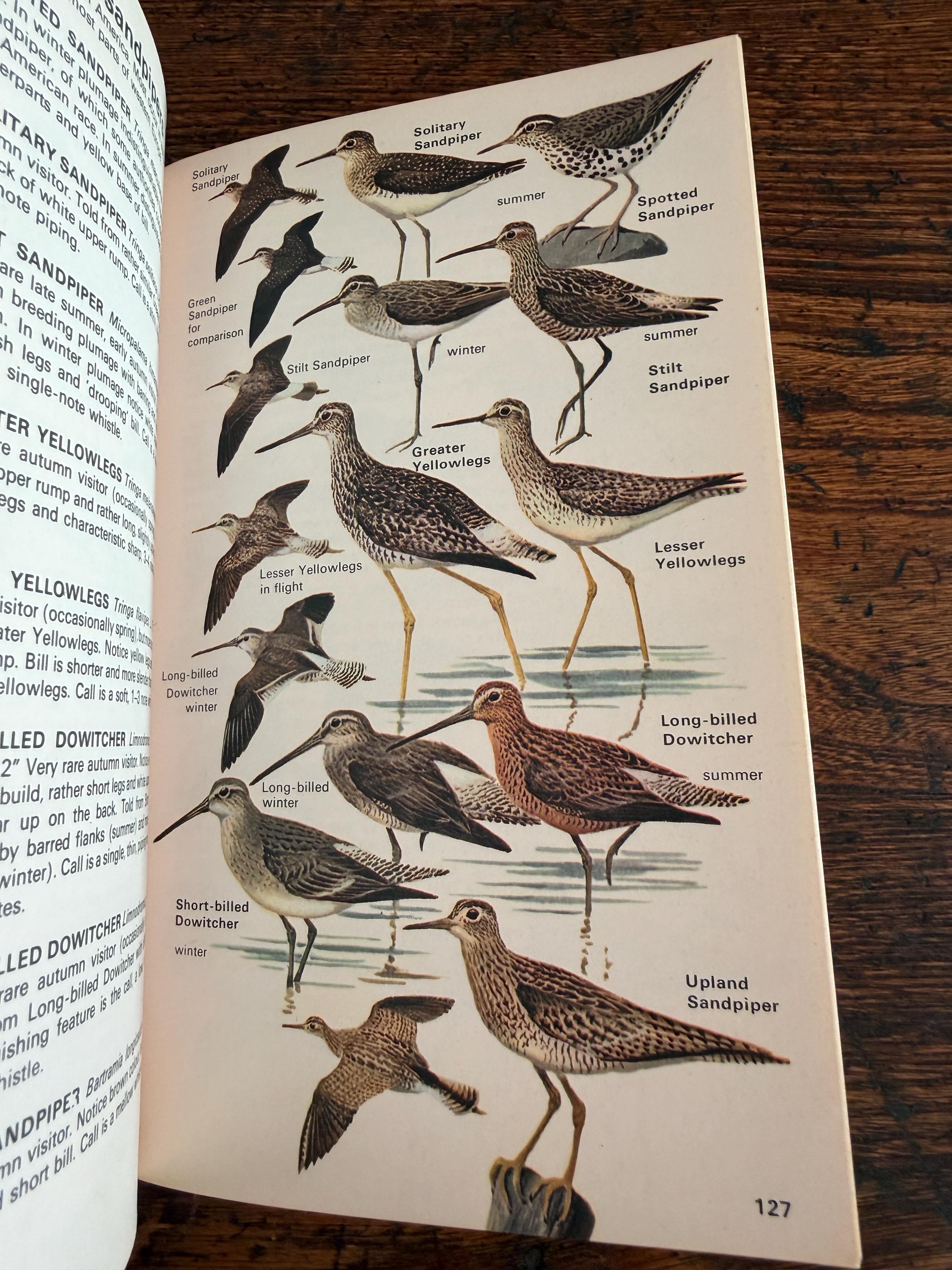 The Hamlyn Guide to Birds of Britain and Europe by Bertel Bruun | 1970 Paperback