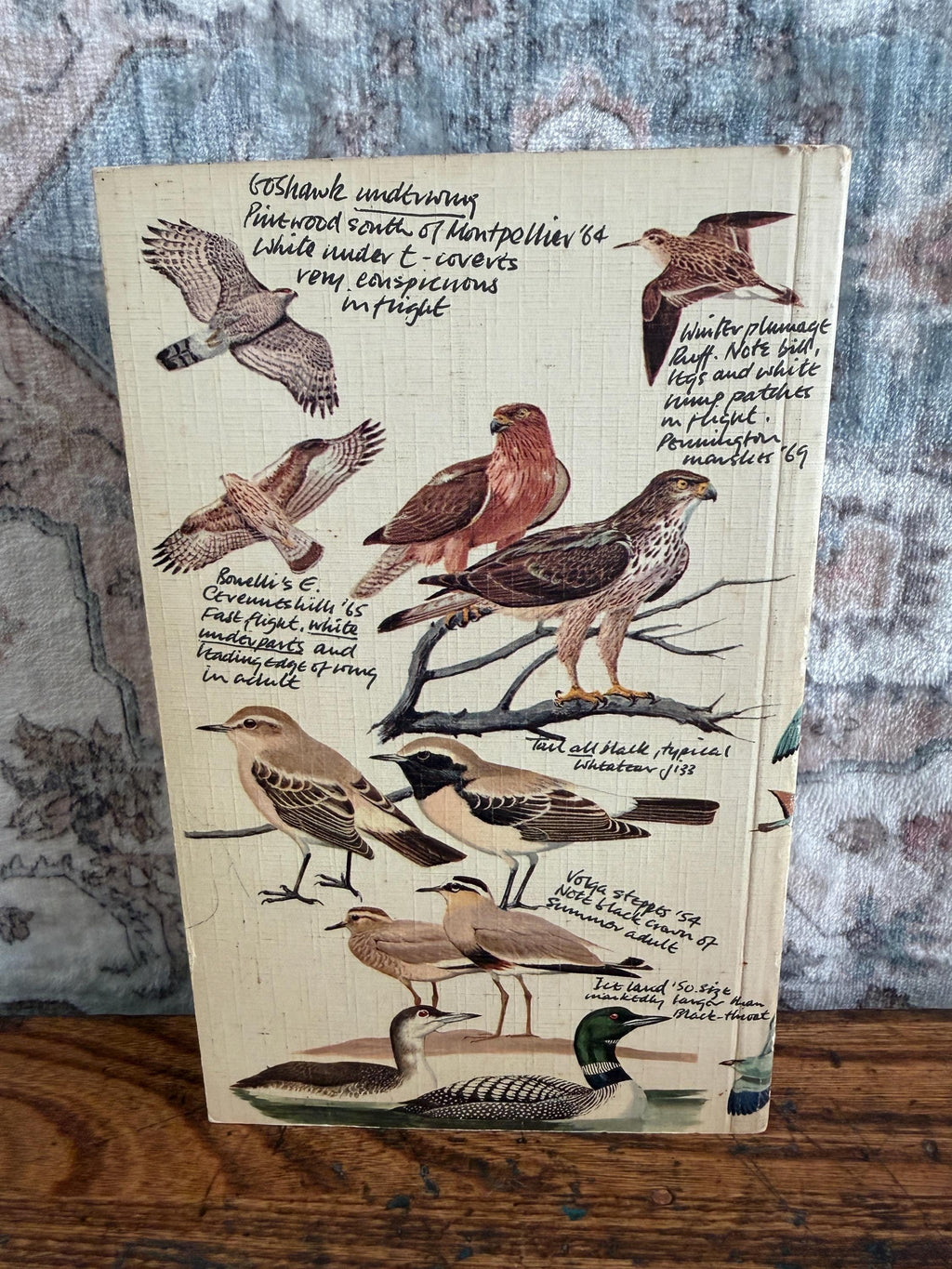 The Hamlyn Guide to Birds of Britain and Europe by Bertel Bruun | 1970 Paperback