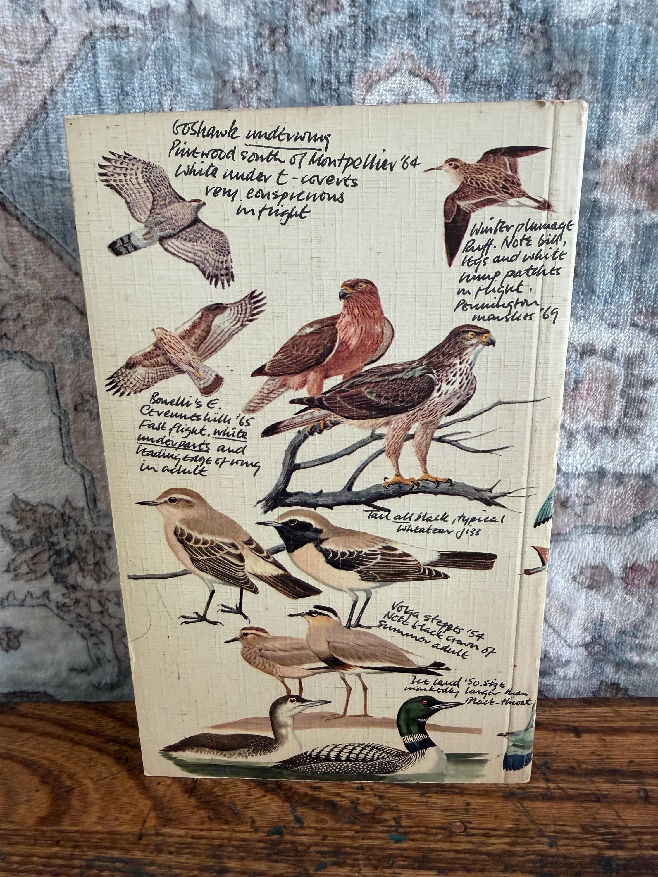 The Hamlyn Guide to Birds of Britain and Europe by Bertel Bruun | 1970 Paperback