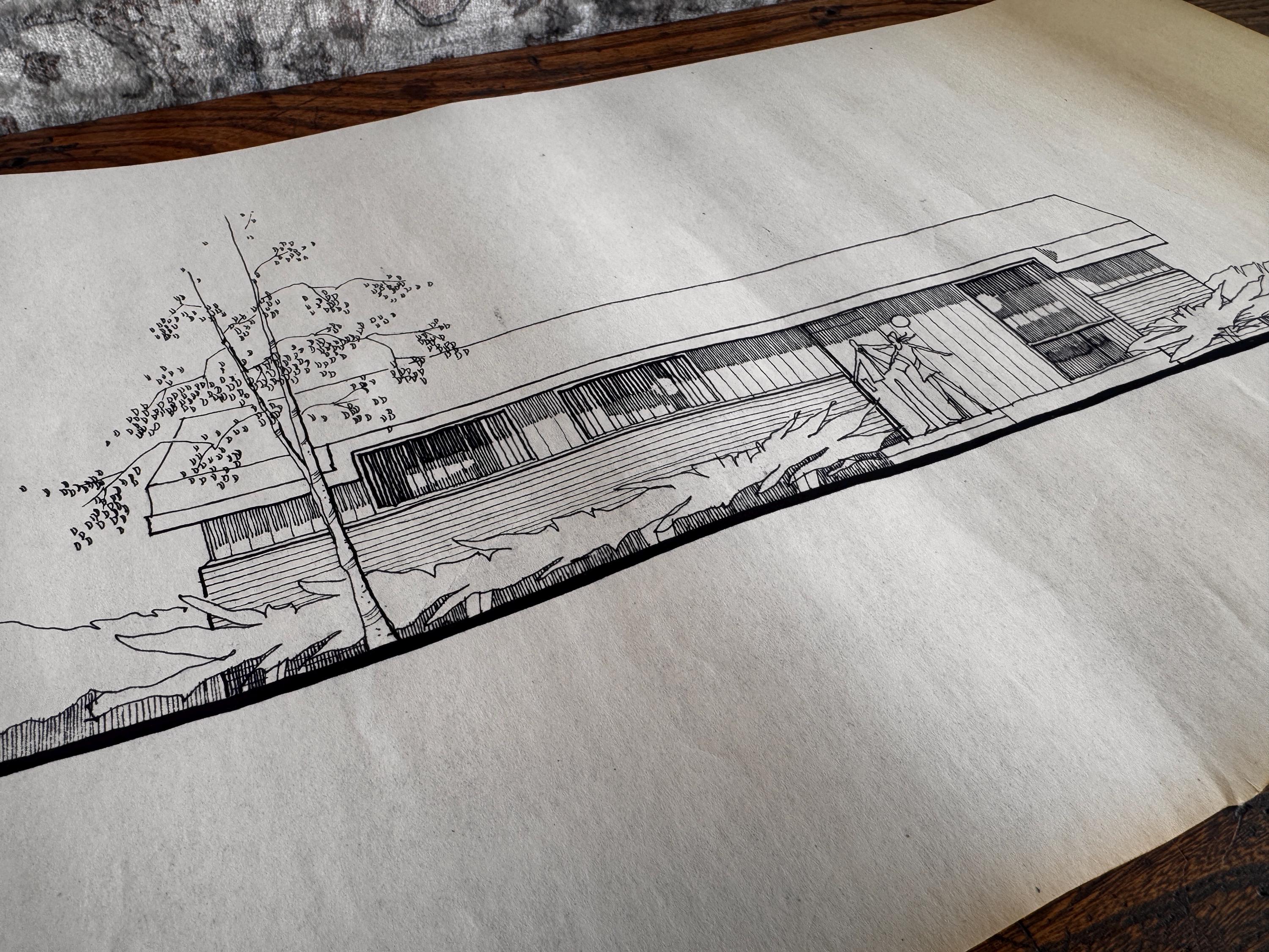 Mid Century Architectural Drawing - Tree Line Elevation - Original Hand Drawn House Rendering