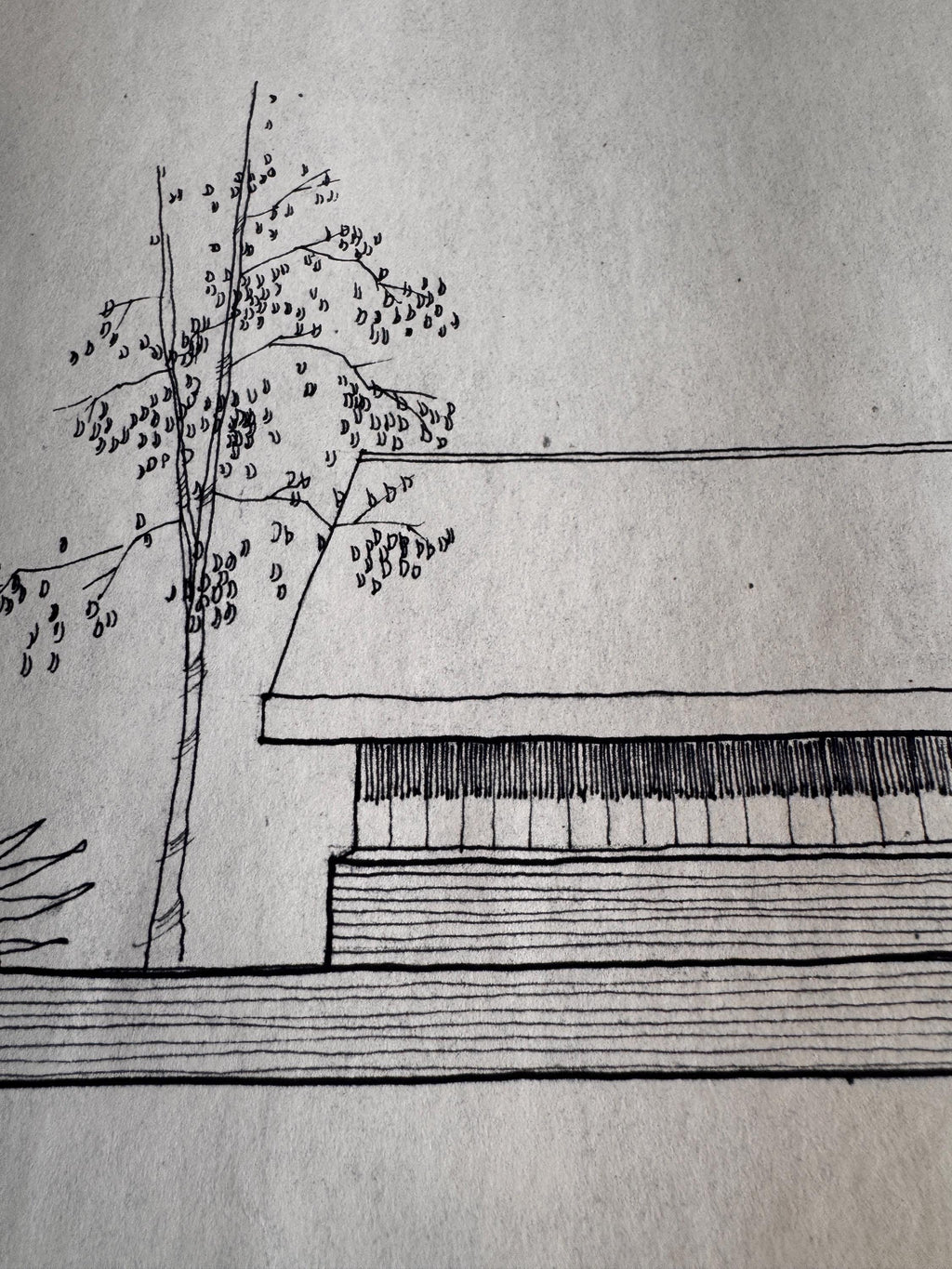 Mid Century Architectural Drawing - Twin Elevations - Original Hand Drawn House Rendering