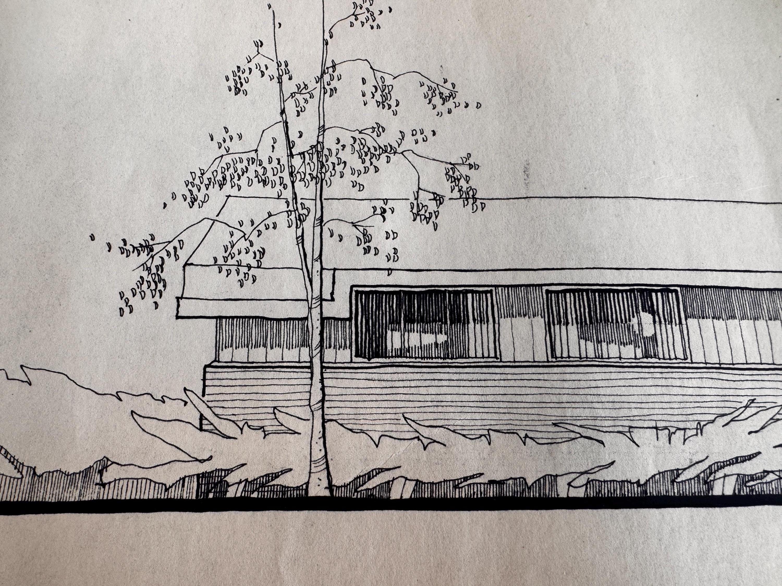 Mid Century Architectural Drawing - Tree Line Elevation - Original Hand Drawn House Rendering