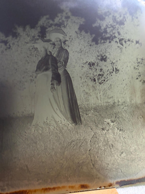 1905 Vintage Glass Plate Negative