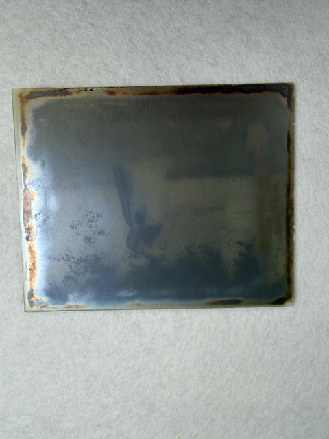 1905 Vintage Glass Plate Negative
