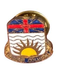Collection of Vintage Travel Souvenir Pins from Various Locations