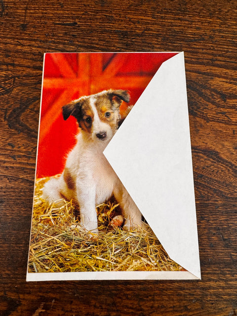 Adorable Dog Greeting Card with Two Puppies