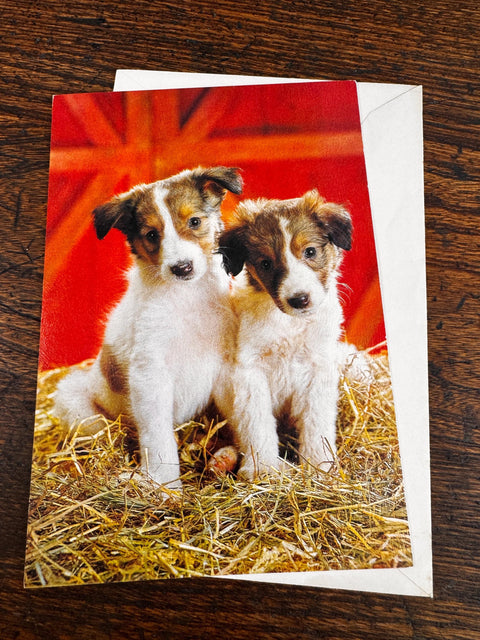 Adorable Dog Greeting Card with Two Puppies
