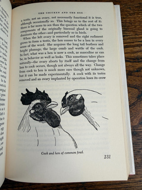 Sex and the Nature of Things by N.J. Berrill | 1953 Hardback