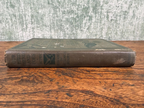 Our Bird Friends and Foes by William Atherton DuPuy | 1925 Illustrated Bird Book