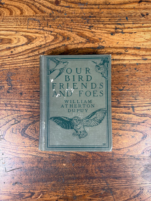 Our Bird Friends and Foes by William Atherton DuPuy | 1925 Illustrated Bird Book