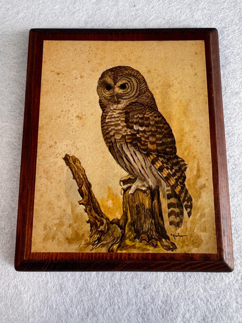 Wooden Wall Plaque Featuring Detailed Owl Illustration