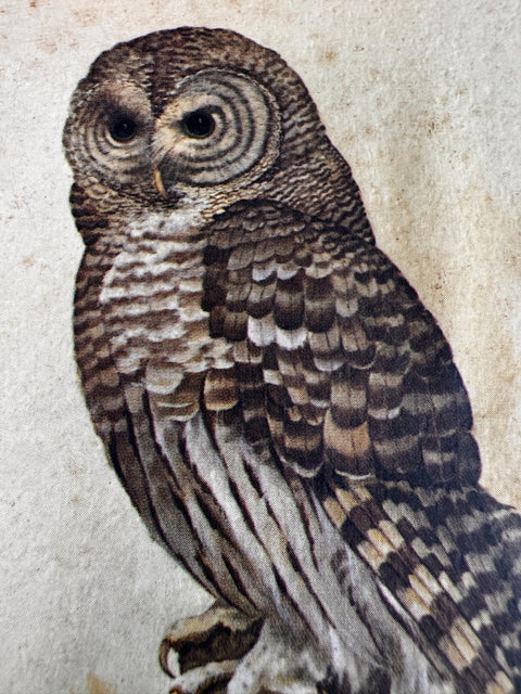 Wooden Wall Plaque Featuring Detailed Owl Illustration