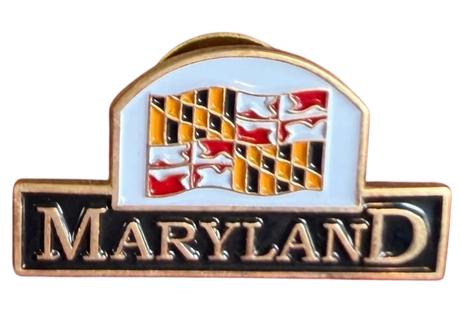 Collection of Vintage Travel Souvenir Pins from Various Locations