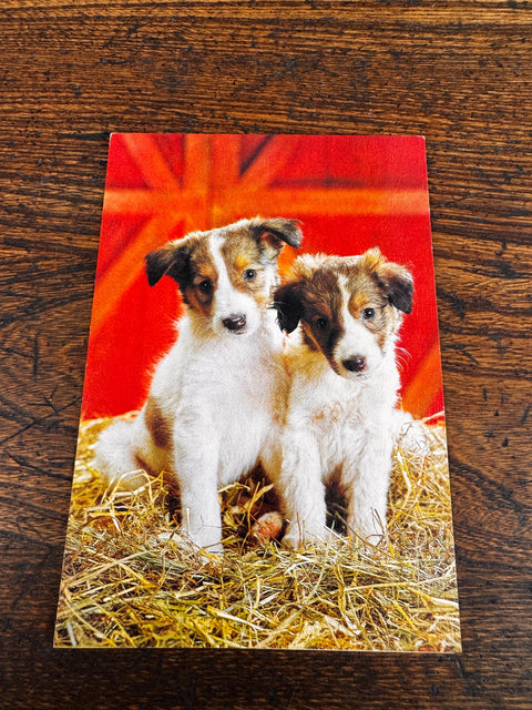 Adorable Dog Greeting Card with Two Puppies