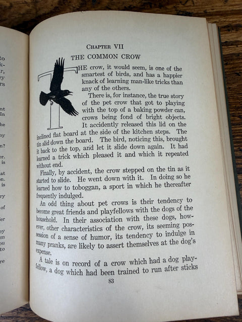 Our Bird Friends and Foes by William Atherton DuPuy | 1925 Illustrated Bird Book