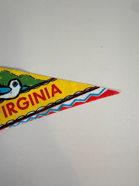 Vintage Virginia Felt Souvenir Pennant
