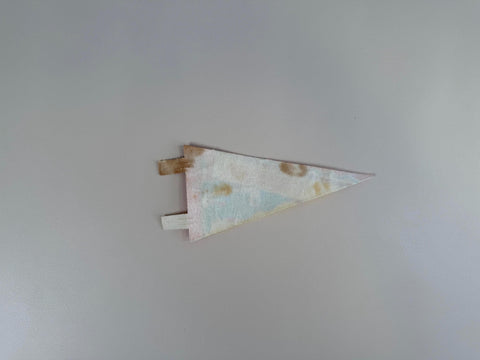 Vintage Virginia Felt Souvenir Pennant